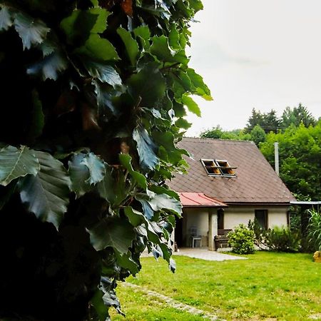 Chaloupka Zdarky Villa Buitenkant foto