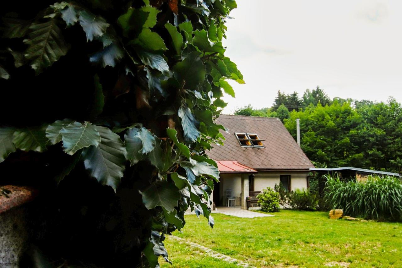 Chaloupka Zdarky Villa Buitenkant foto